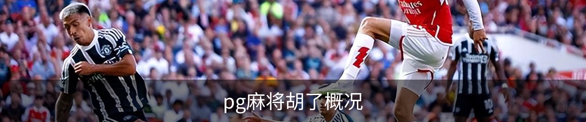 pg麻将胡了概况